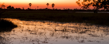 Abu Camp Abu Camp: Abendrot