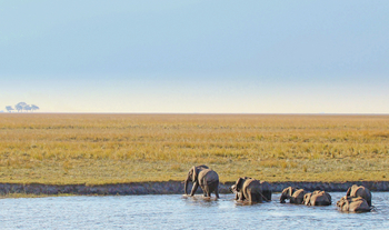 Chobe Game Lodge: Hinüber zur Insel