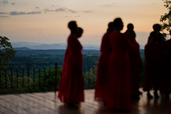 Gibb's Farm: Abenddämmerung