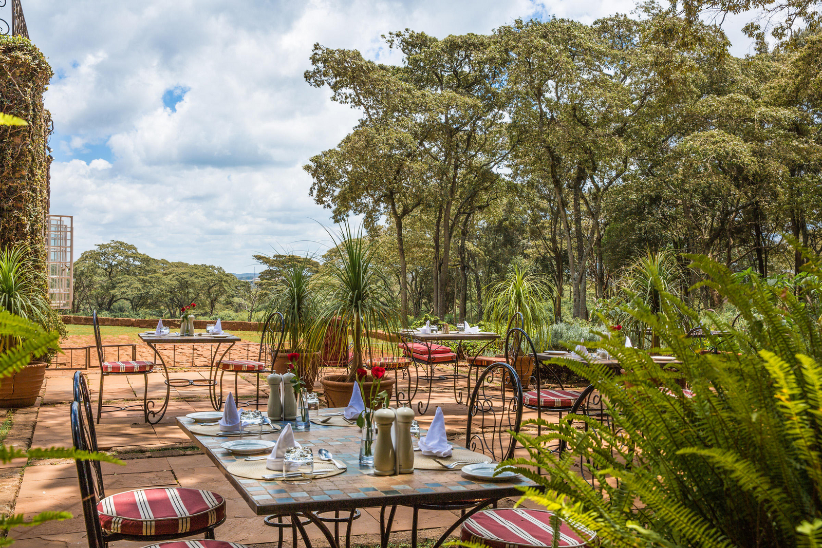 Giraffe Manor Giraffe Manor: Sonnenterrasse