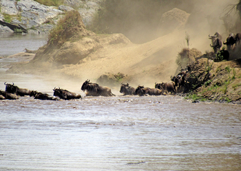Mahali Mzuri: Crossing