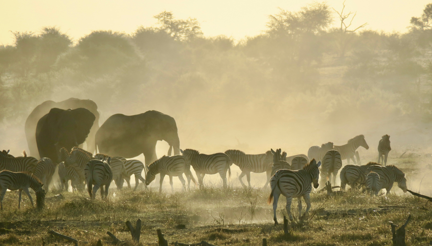 Moela Safari Lodge