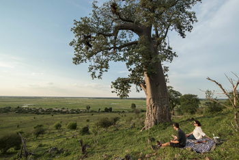 Muchenje Safari Lodge: Sundowner neben einem Baobab