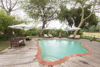 Mvuu Lodge: Pool