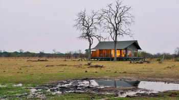 Nogatsaa Pans Chobe Lodge: Standard Tent