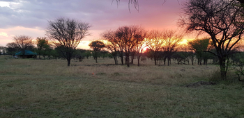 Ole Serai Camp Kogatende: Landschaft