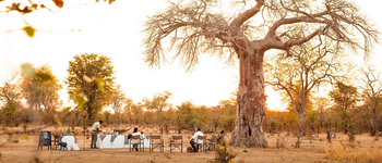Puku Ridge Camp: Lunch unter einem Baobab