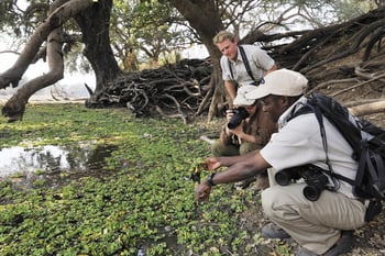 Shenton Safaris: Walking Safari