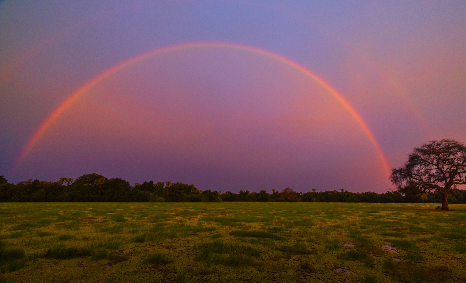 Sungani Lodge Sungani Lodge: Regenbogen über der Lagune