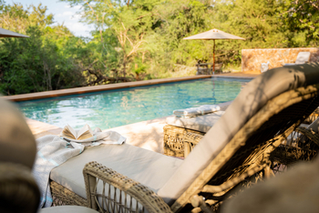 Thornybush Game Lodge: Pool mit Sonnenschiirmen