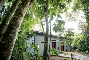 Turaco Treetops: Standard Room Außenansicht