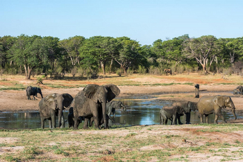 Verney's Camp: Wasserloch mit Waldrand