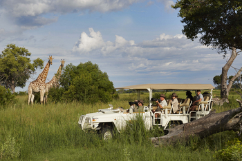 Xigera Safari Lodge Xigera Safari Lodge: Game Drive