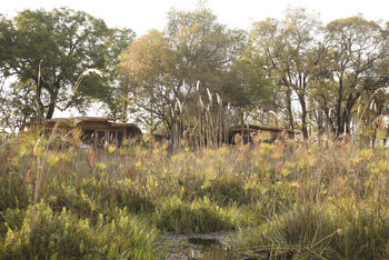 andBeyond Sandibe Okavango Safari Lodge: Suiten unter Bäumen