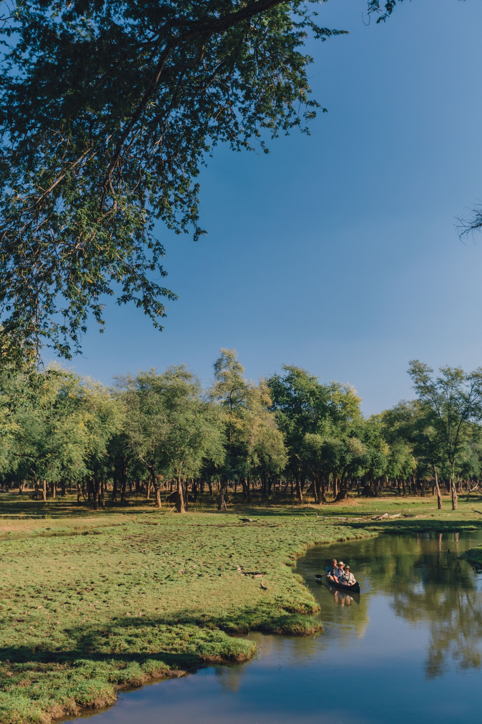 Classic Zambia Safaris Classic Zambia Safaris: Kanu-Safari