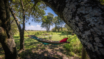 Elewana Elephant Pepper Camp Elewana Elephant Pepper Camp: Hängematte