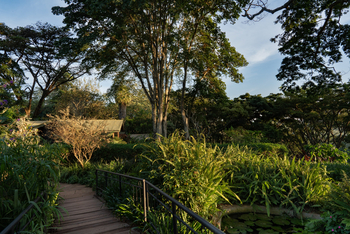 Gibb's Farm: Blick über die Gärten