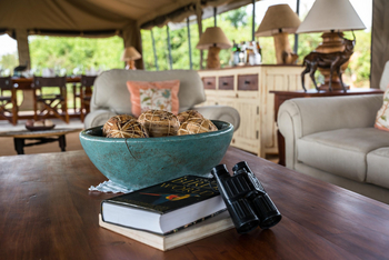 Honey Bear Bushcamp: Bird Guidebook