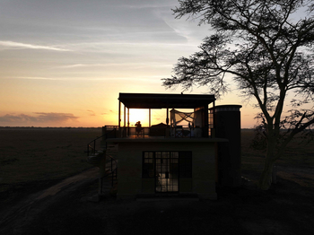 Lion House Sleep-out: Sundowner auf Savannen-Dachlounge