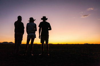 Madikwe Hills Private Game Lodge: Silhouetten bei Sonnenuntergang auf Savanne