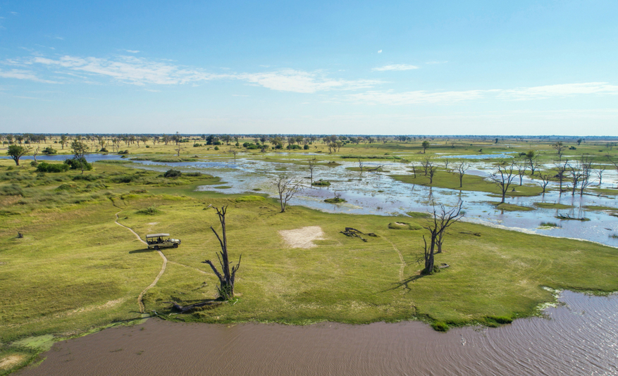 Moremi Game Reserve