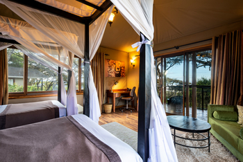Ngorongoro Lion's Paw: Executive Twin Suite