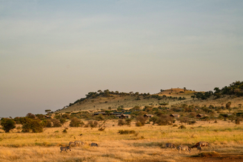 Nyikani Camp Central Serengeti: Lage an einem flachen Hang