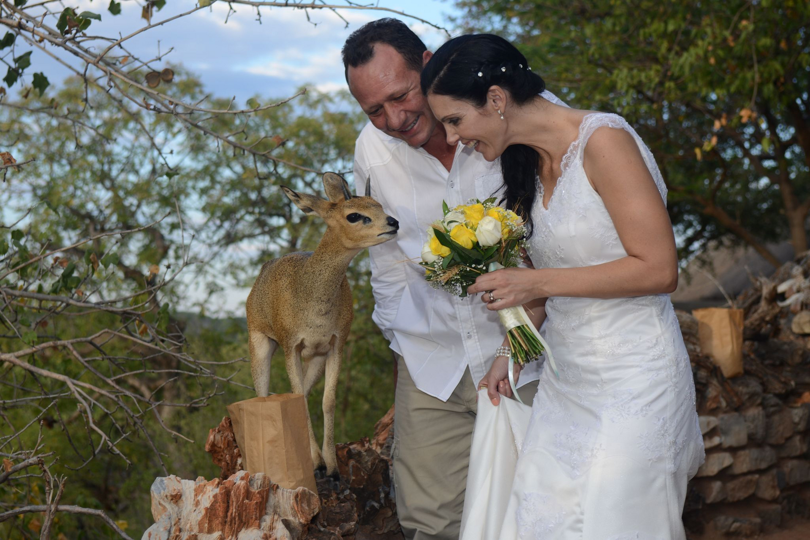 Okutala Lodge Okutala Lodge: Klippspringer begrüßt Brautleute