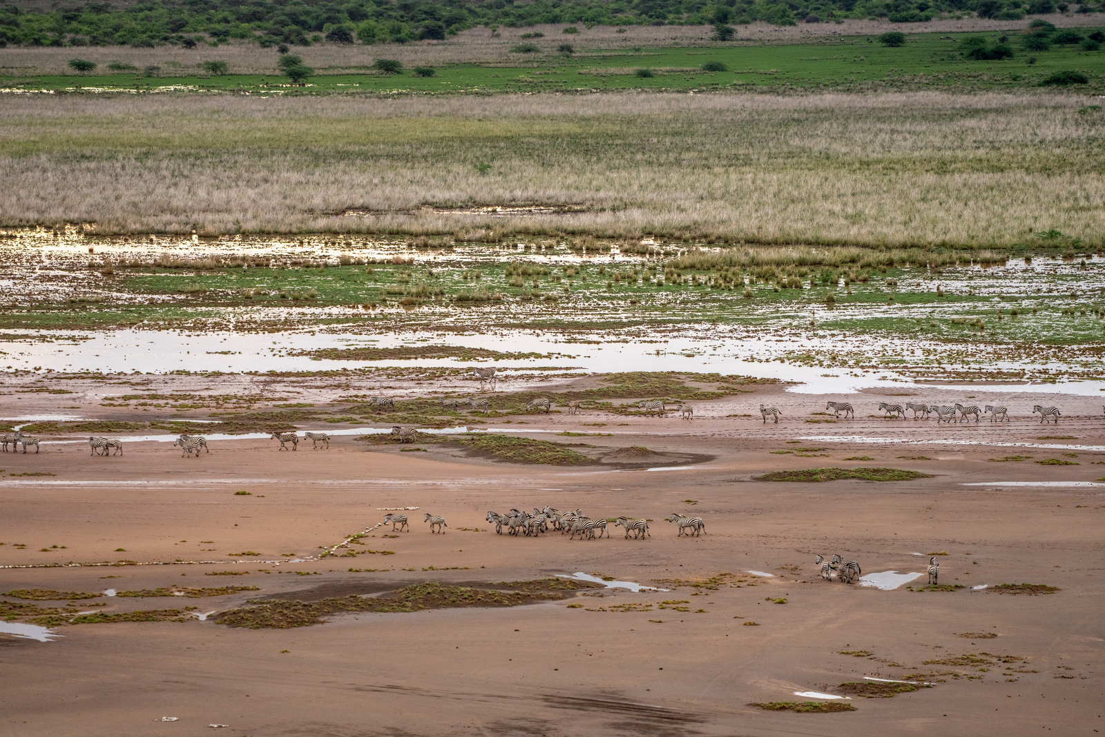 Shompole Wilderness Lodge Shompole Wilderness Lodge