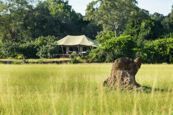The Zanji Suite at Tembo Plains: Termitenhügel vor Zelt