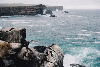 andBeyond Galapagos Explorer: Galápagos-Leguane auf schroffen Felsen