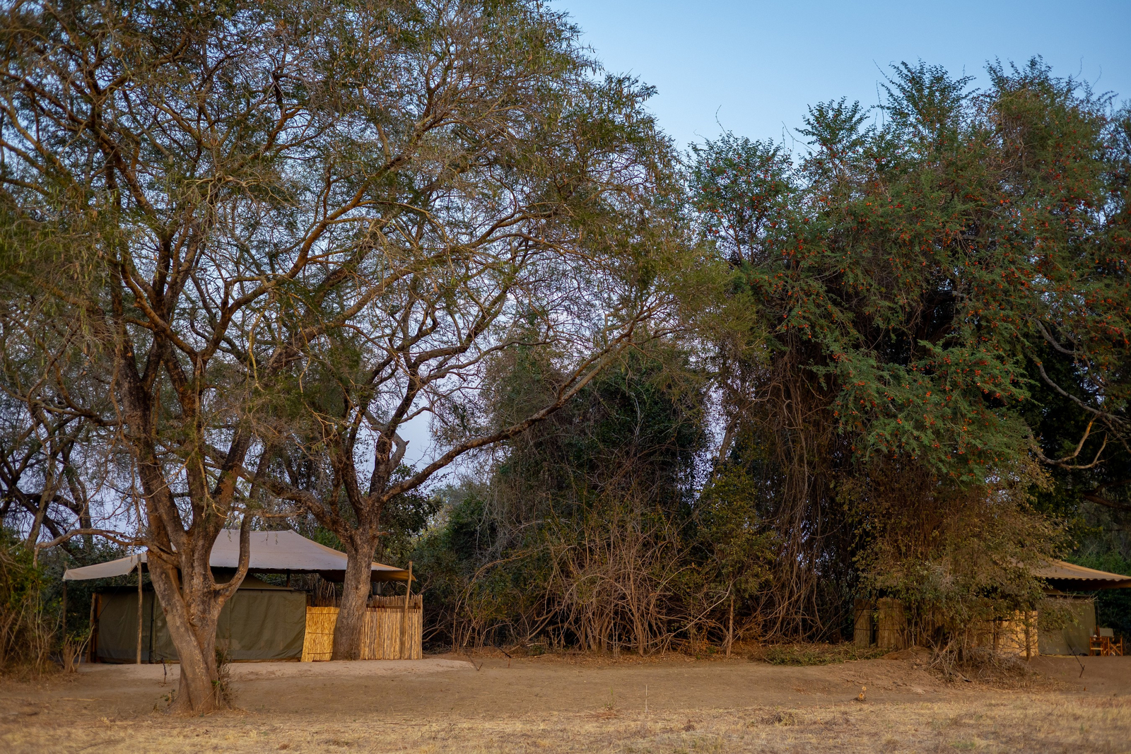 Kutandala Camp Kutandala Camp: Gästezelte