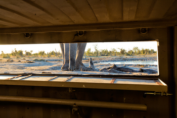Elephant Pan Camp: Blick aus dem Versteck