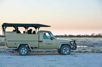Halali Camp: Game Drive