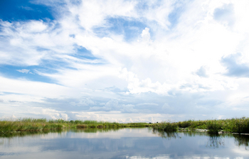 Kazile Island Lodge: Flusslandschaft