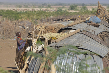 Lale's Camp: Stammeskultur - Dassenach Hütte