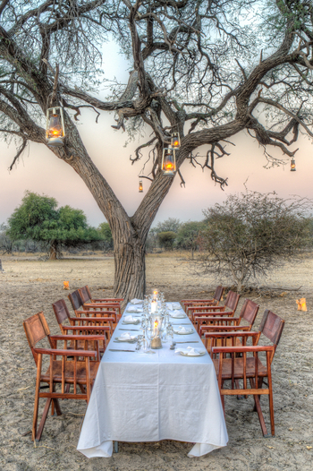 Leroo La Tau Lodge: Bush Dinner