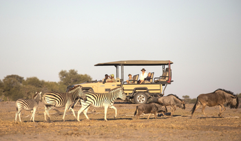Meno A Kwena Camp Meno A Kwena Camp: Game drive