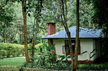 Moivaro Lodge: Waldhütte mit Ziegelkamin im Schatten
