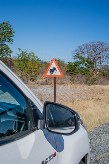 Nata Lodge Nata Lodge: Vorsicht vor Elefanten
