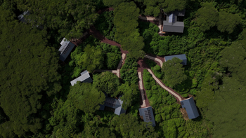 Ngorongoro Lion's Paw: Luftbild