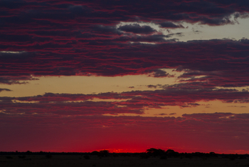 Nxai Pan Camp: Abendrot