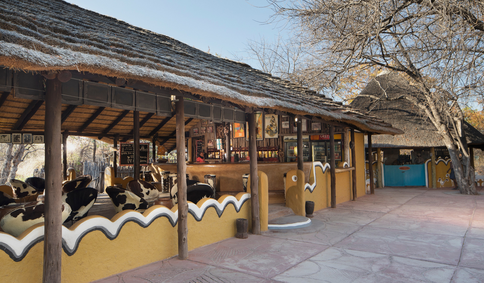 Planet Baobab Planet Baobab: Bar