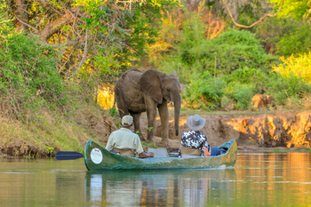 Royal Zambezi Lodge: Kanu und Elefant