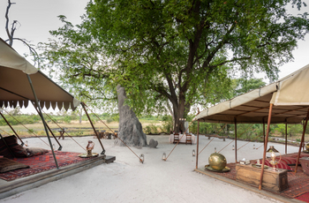 Selinda Explorers Camp Selinda Explorers Camp: Zelt und Bäume