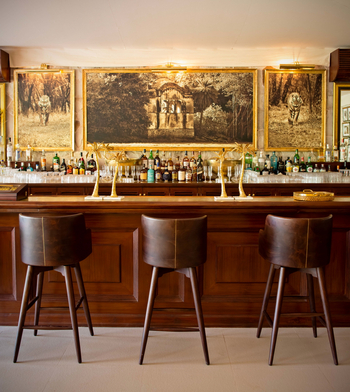 Sujan Sher Bagh: Die Bar mit Barhockern im Gemeinschaftszelt mit Tigerfotos aus Ranthambore