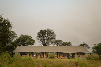 Ubuntu Migration Camp: Family Unit - Lage zwischen Bäumen