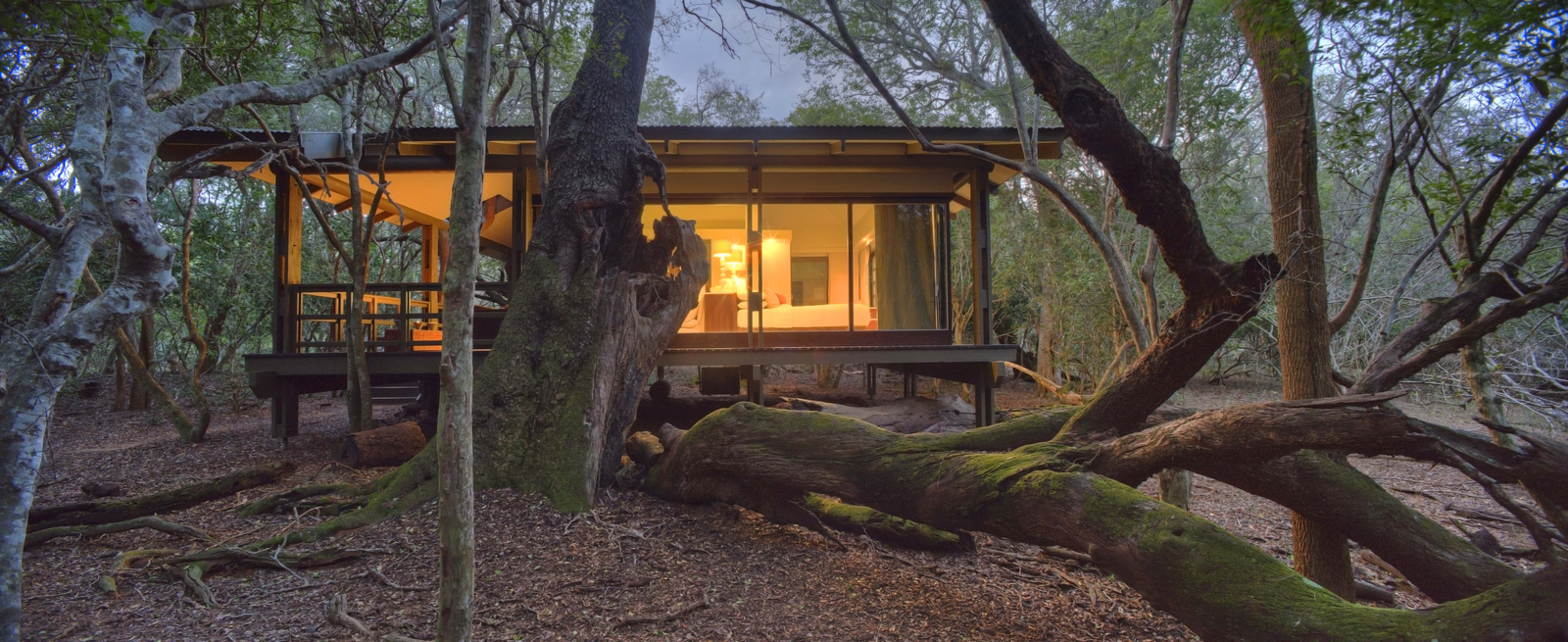 &Beyond Phinda Forest Lodge &Beyond Phinda Forest Lodge