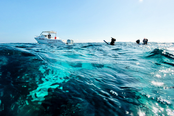 Azura Benguerra Island: Schnorcheln