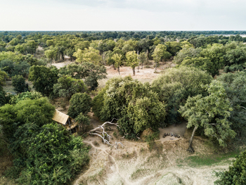 Chikoko Tree Camp: Treehouse Luftbild